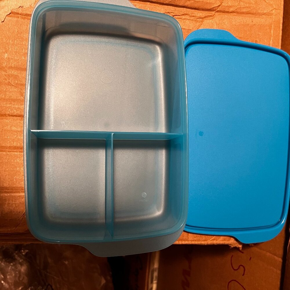 Tupperware Lunch-It Portion & Go Lunch Box